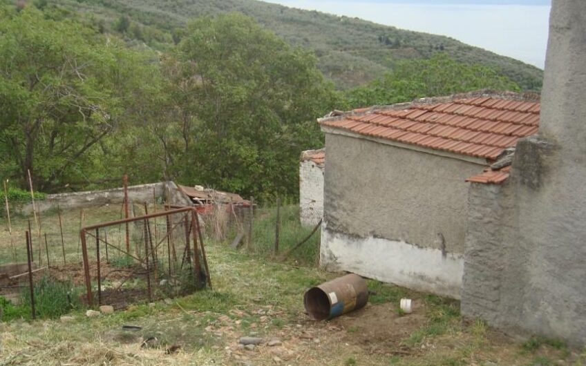 Κατηχώρι Πήλιο.Πωλείται οικόπεδο  εντός ορίων οικισμού οικοδομήσιμο επιφανείας 664,40τμ.Έχει πρόσωπο στην κεντρική με άσφαλτο οδό.
