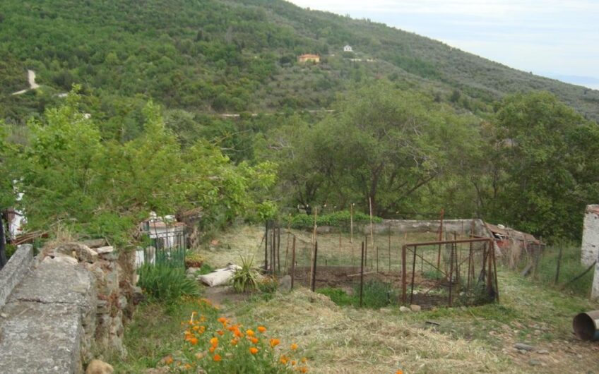Κατηχώρι Πήλιο.Πωλείται οικόπεδο  εντός ορίων οικισμού οικοδομήσιμο επιφανείας 664,40τμ.Έχει πρόσωπο στην κεντρική με άσφαλτο οδό.