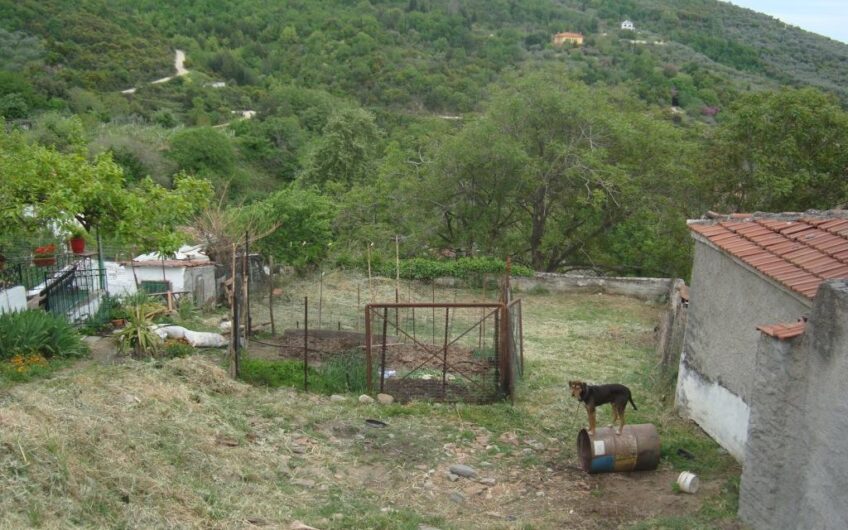 Κατηχώρι Πήλιο.Πωλείται οικόπεδο  εντός ορίων οικισμού οικοδομήσιμο επιφανείας 664,40τμ.Έχει πρόσωπο στην κεντρική με άσφαλτο οδό.